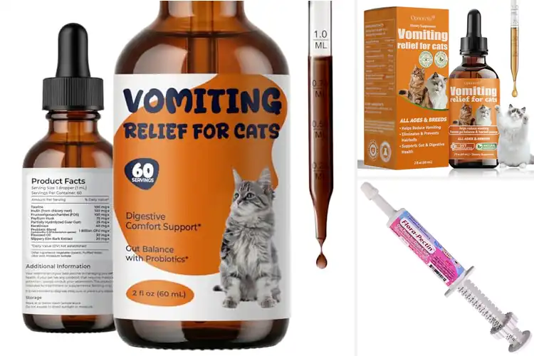 Detailed view of Best Cat Gastritis Remedies
