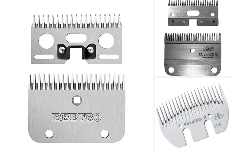Detailed view of Best Cattle Shearing Blades
