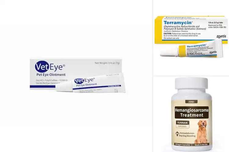 Detailed view of Best Dog Ulcer Medications: Fast Relief for Your Pup