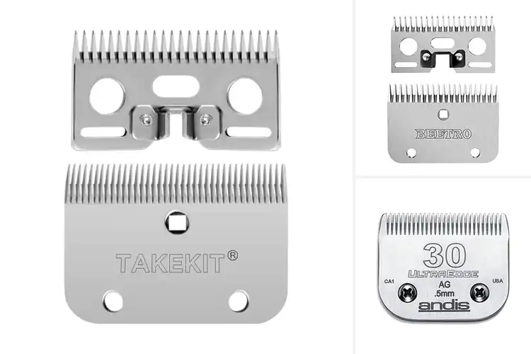 Detailed view of Best equine clipper blades for a perfect groom