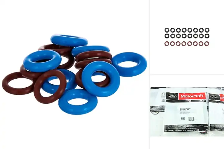 Detailed view of Best Fuel Injector O-Ring Kits