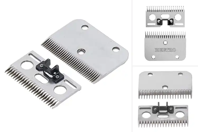 Detailed view of Best horse shears replacement blades