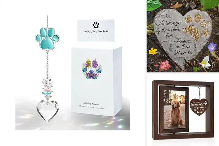 Detailed view of Best Pet Loss Sympathy Gifts: 10 Healing Keepsakes