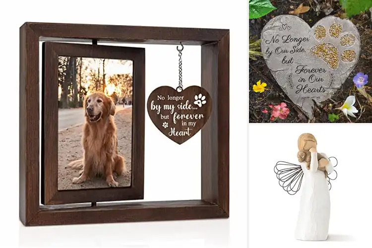 Detailed view of Best Pet Memorial Gifts: 10 Heartfelt Ways to Remember