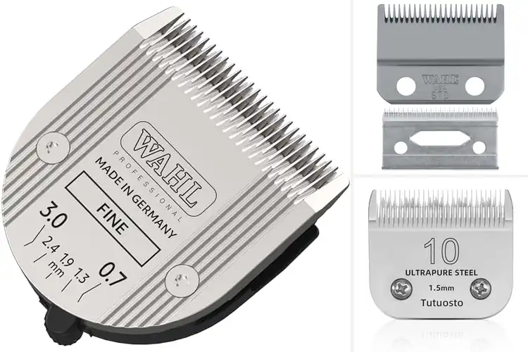 Detailed view of Best Professional Clipper Blades