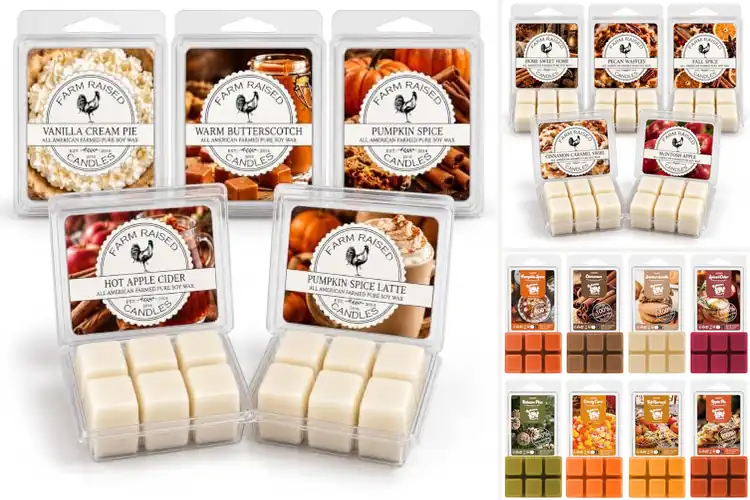 Detailed view of Best Value Wax Melt Packs: Top 10 Picks to Save Big